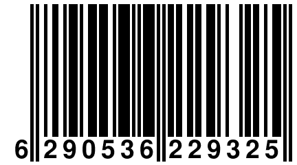 6 290536 229325