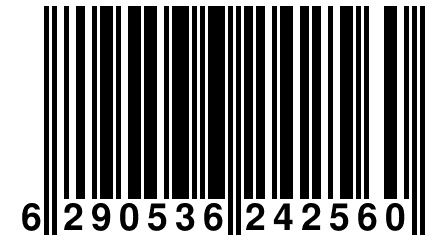 6 290536 242560