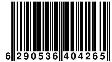 6 290536 404265