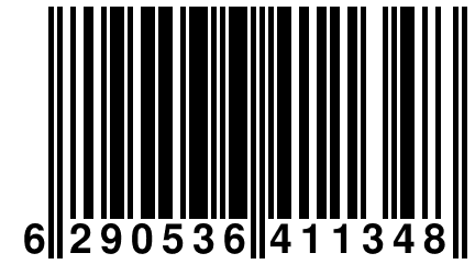 6 290536 411348