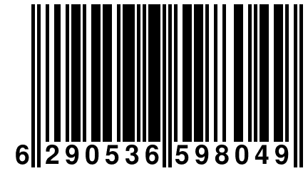 6 290536 598049