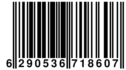 6 290536 718607