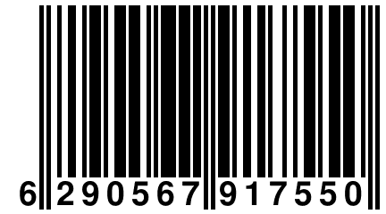 6 290567 917550