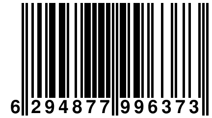 6 294877 996373