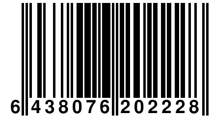 6 438076 202228