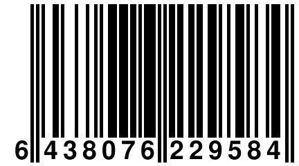 6 438076 229584