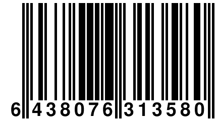 6 438076 313580