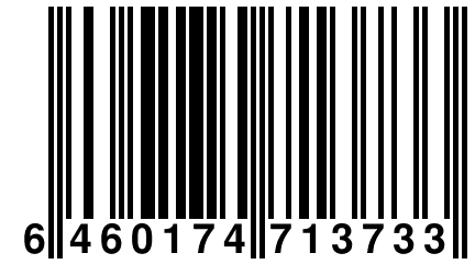 6 460174 713733