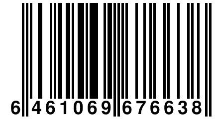 6 461069 676638
