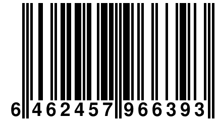 6 462457 966393