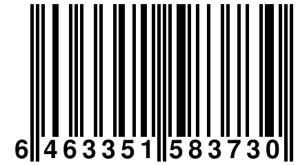 6 463351 583730