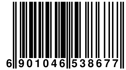 6 901046 538677