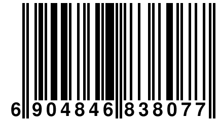 6 904846 838077