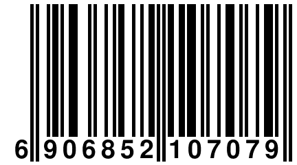 6 906852 107079