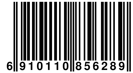 6 910110 856289