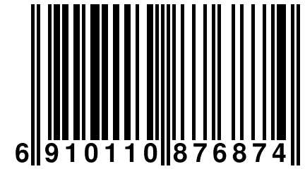 6 910110 876874