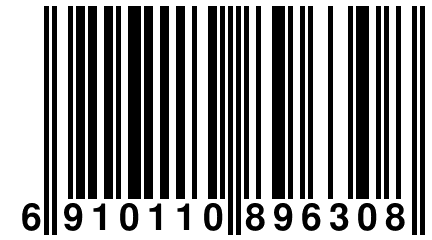 6 910110 896308