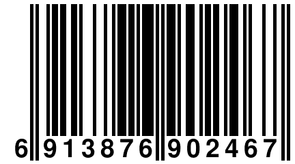 6 913876 902467