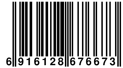 6 916128 676673