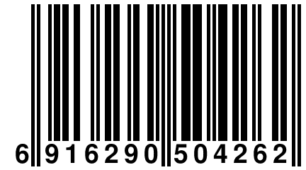 6 916290 504262