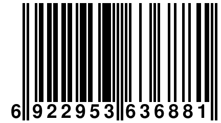 6 922953 636881