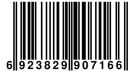 6 923829 907166