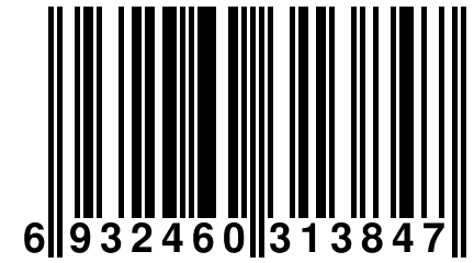 6 932460 313847