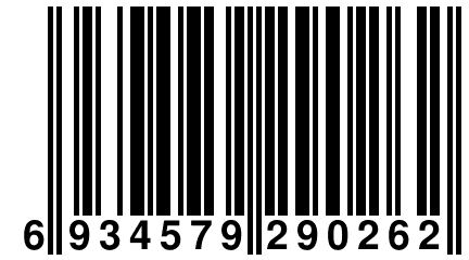 6 934579 290262
