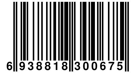 6 938818 300675