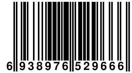 6 938976 529666