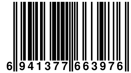 6 941377 663976