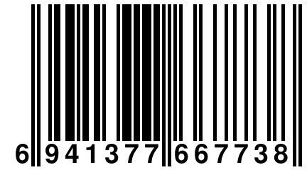 6 941377 667738