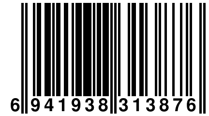 6 941938 313876