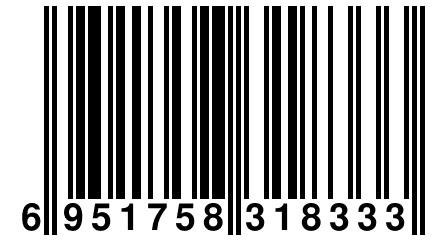 6 951758 318333
