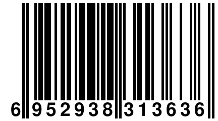6 952938 313636