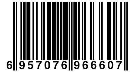 6 957076 966607