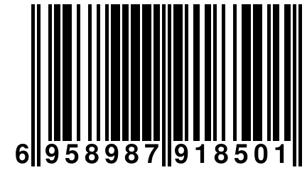 6 958987 918501