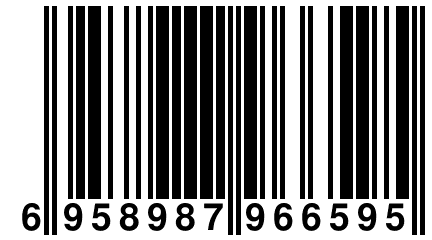 6 958987 966595