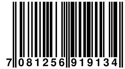 7 081256 919134