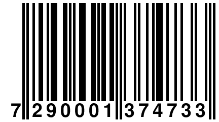 7 290001 374733