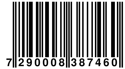 7 290008 387460