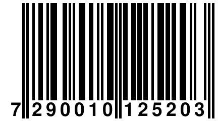7 290010 125203