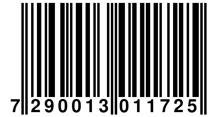 7 290013 011725