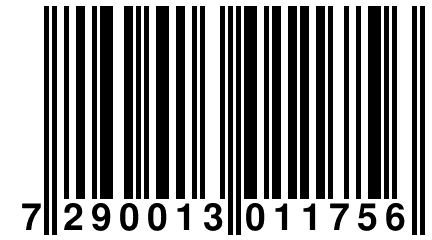 7 290013 011756