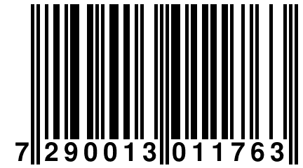 7 290013 011763