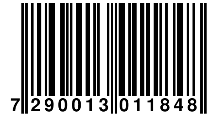 7 290013 011848