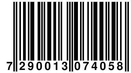 7 290013 074058