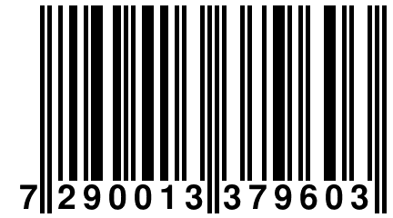 7 290013 379603