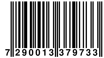 7 290013 379733