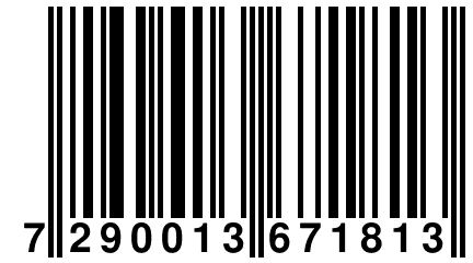 7 290013 671813